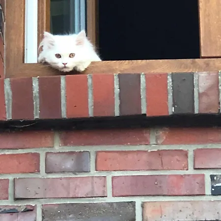 Ferienhaus Hillrichshof *